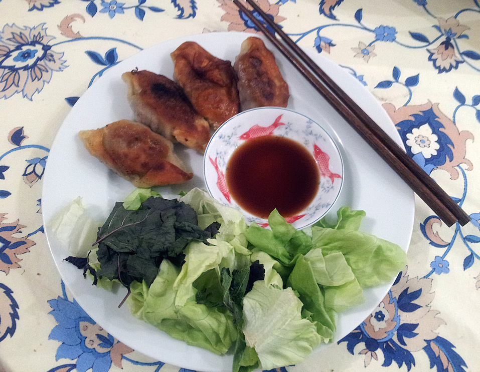 Aubergine and mushrooms pan-fried dumplings (and the dumpling cube!)