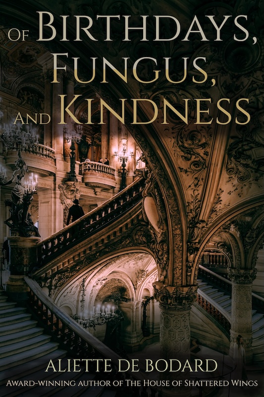 Cover of Of Birthdays, Fungus and Kindness, by Aliette de Bodard, showing a shadowed series of staircases with a brighter center.